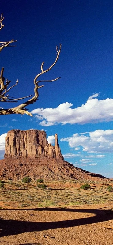 PeelitStickit, Beautiful Nature Wall Murals, ID-1411, vinyl