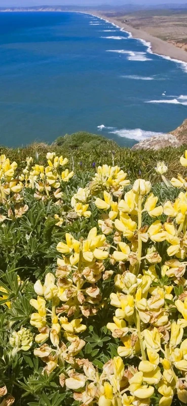 PeelitStickit, Beautiful Nature Wall Murals, ID-1410, vinyl