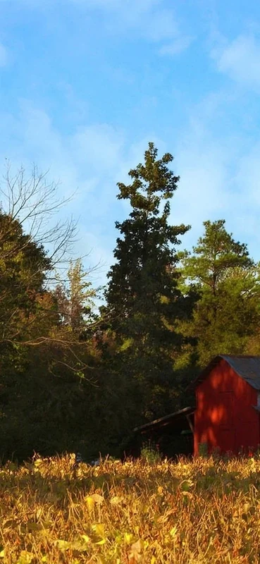 PeelitStickit, Beautiful Nature Wall Murals, ID-1416, vinyl