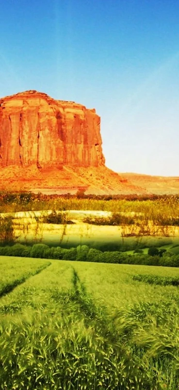 PeelitStickit, Beautiful Nature Wall Murals, ID-1422, vinyl