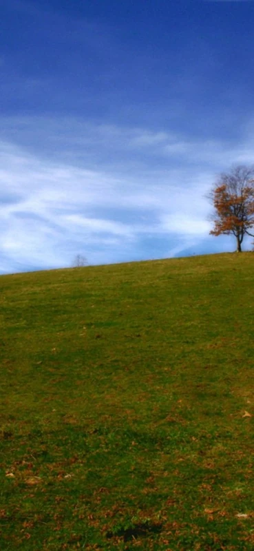 PeelitStickit, Beautiful Nature Wall Murals, ID-1437, vinyl