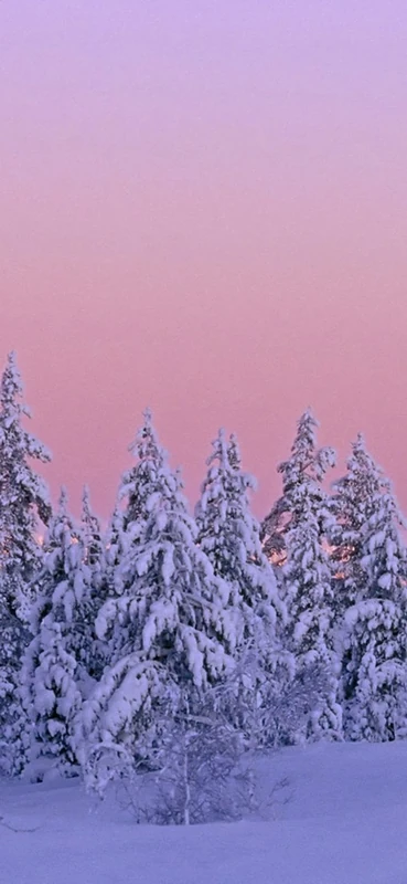 PeelitStickit, Beautiful Nature Wall Murals, ID-1448, vinyl