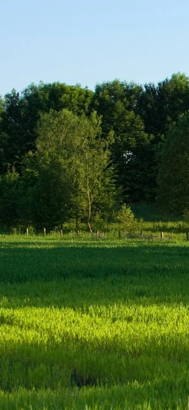 PeelitStickit, Beautiful Nature Wall Murals, ID-1457, vinyl