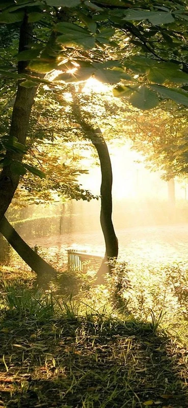 PeelitStickit, Beautiful Nature Wall Murals, ID-1465, vinyl