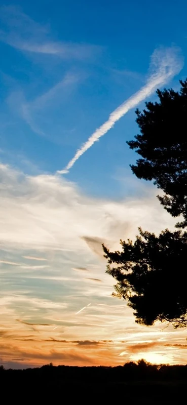 PeelitStickit, Beautiful Nature Wall Murals, ID-1466, vinyl