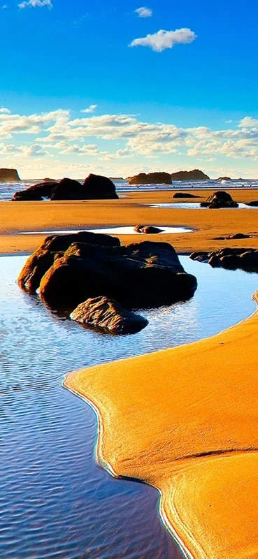 PeelitStickit, Beautiful Nature Wall Murals, ID-1473, vinyl