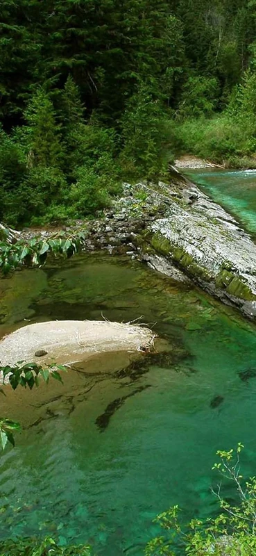 PeelitStickit, Beautiful Nature Wall Murals, ID-1733, vinyl