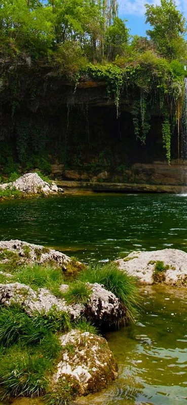 PeelitStickit, Beautiful Nature Wall Murals, ID-1739, vinyl