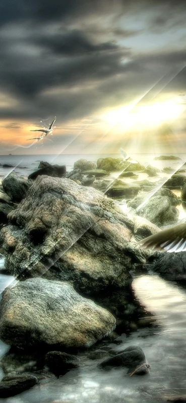 PeelitStickit, Beautiful Nature Wall Murals, ID-1736, vinyl