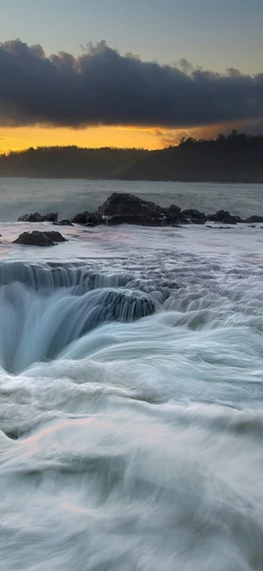 PeelitStickit, Beautiful Nature Wall Murals, ID-1754, vinyl