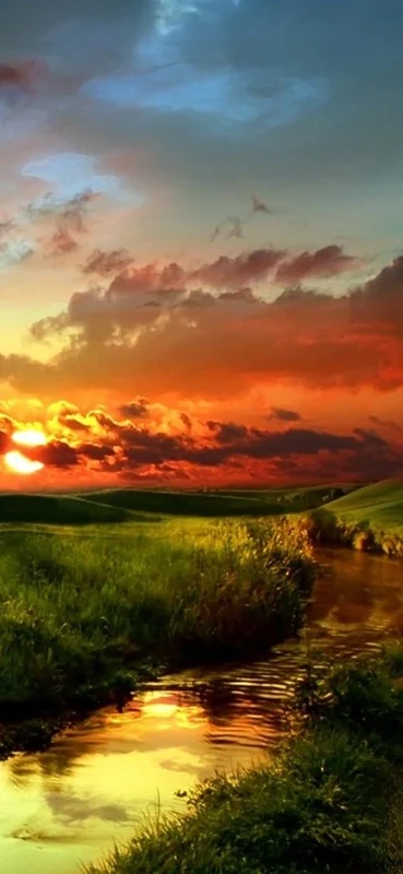 PeelitStickit, Beautiful Nature Wall Murals, ID-1760, vinyl