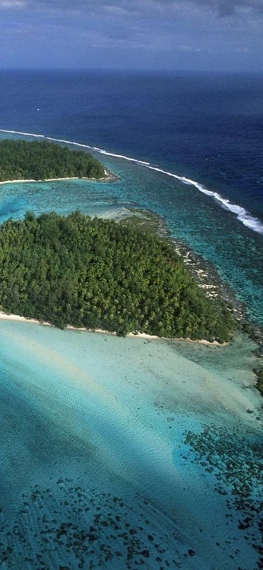 PeelitStickit, Beautiful Nature Wall Murals, ID-1762, vinyl