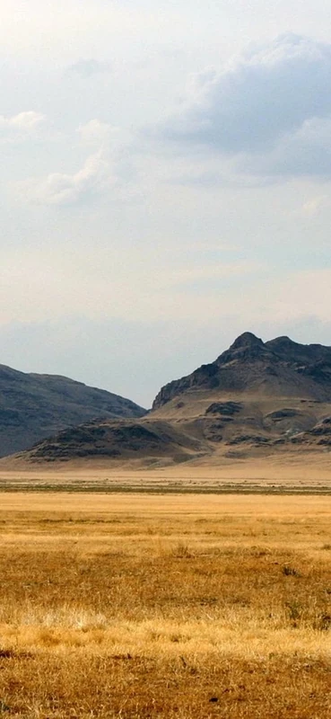 PeelitStickit, Beautiful Nature Wall Murals, ID-1775, vinyl