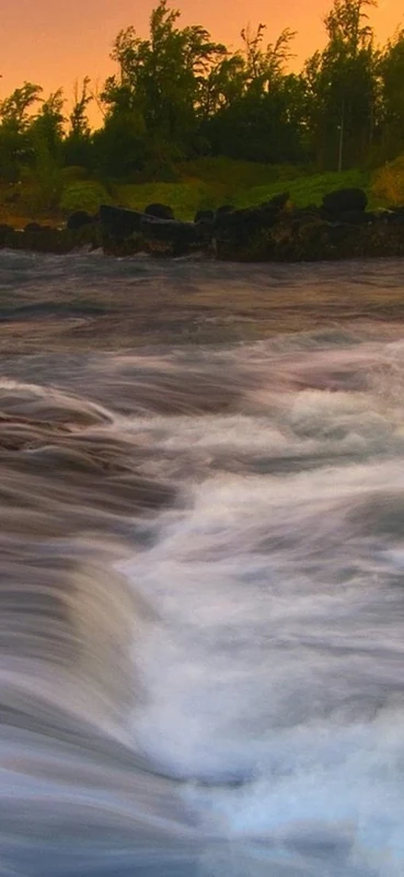 PeelitStickit, Beautiful Nature Wall Murals, ID-1786, vinyl