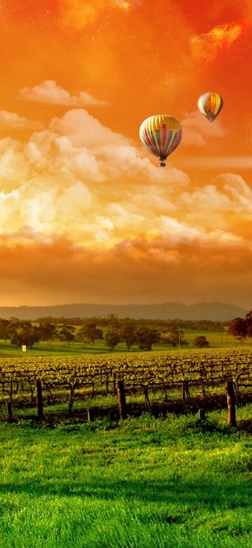 PeelitStickit, Beautiful Nature Wall Murals, ID-1792, vinyl