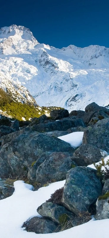 PeelitStickit, Beautiful Nature Wall Murals, ID-1810, vinyl