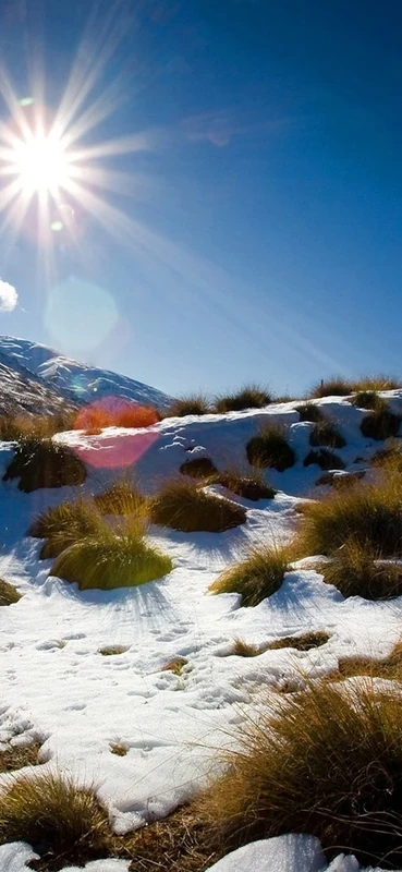 PeelitStickit, Beautiful Nature Wall Murals, ID-1806, vinyl