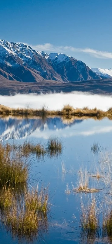 PeelitStickit, Beautiful Nature Wall Murals, ID-1813, vinyl