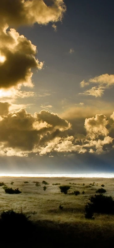 PeelitStickit, Beautiful Nature Wall Murals, ID-1820, vinyl