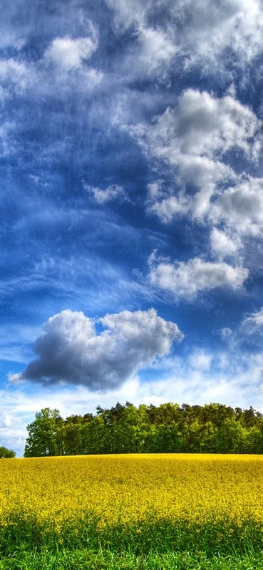 PeelitStickit, Beautiful Nature Wall Murals, ID-1845, vinyl