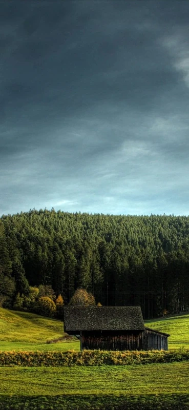 PeelitStickit, Beautiful Nature Wall Murals, ID-1848, vinyl