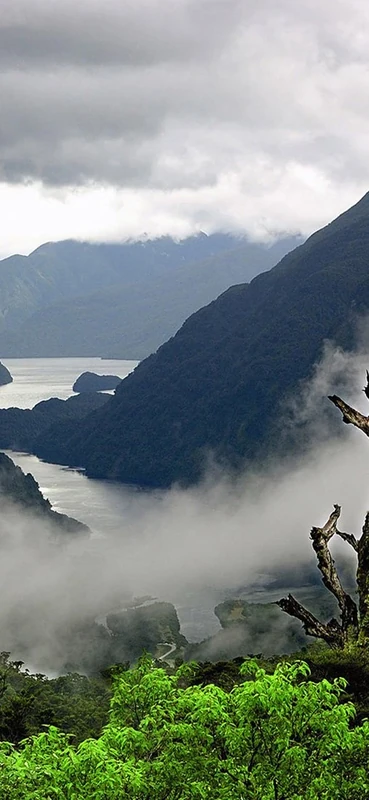 PeelitStickit, Beautiful Nature Wall Murals, ID-1855, vinyl