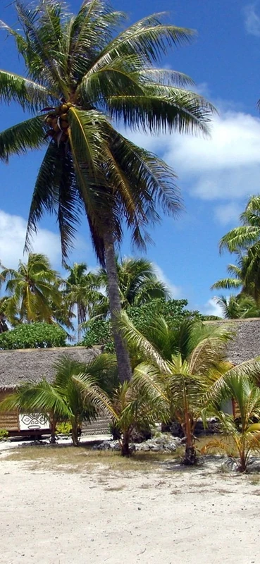 PeelitStickit, Beautiful Nature Wall Murals, ID-1853, vinyl