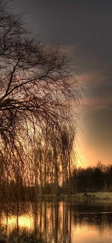 PeelitStickit, Beautiful Nature Wall Murals, ID-1861, vinyl