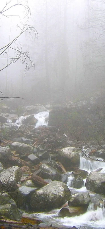 PeelitStickit, Beautiful Nature Wall Murals, ID-1881, vinyl