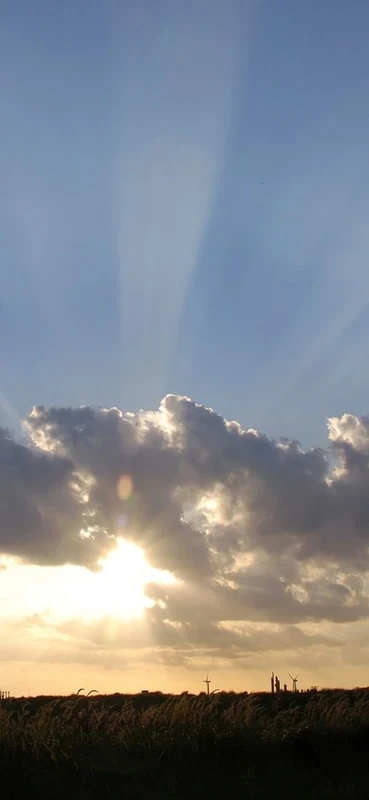 PeelitStickit, Beautiful Nature Wall Murals, ID-1903, vinyl