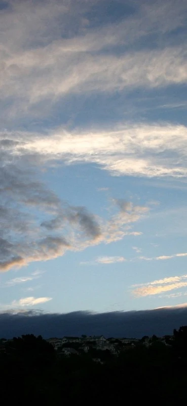 PeelitStickit, Beautiful Nature Wall Murals, ID-1906, vinyl