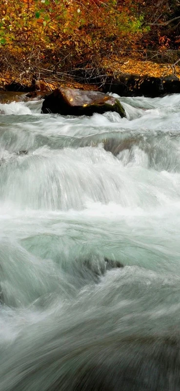 PeelitStickit, Beautiful Nature Wall Murals, ID-1907, vinyl