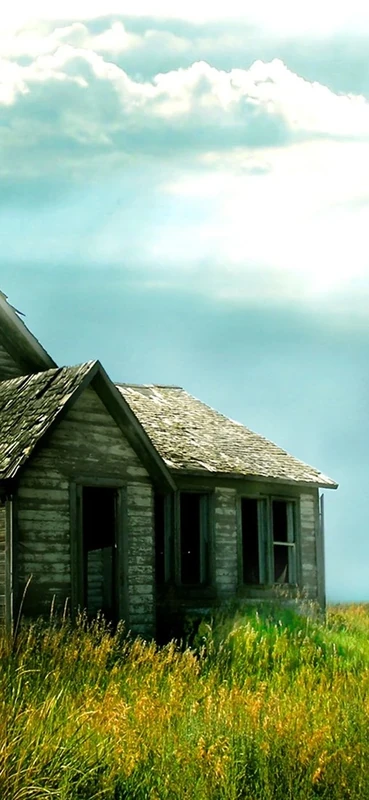 PeelitStickit, Beautiful Nature Wall Murals, ID-1951, vinyl