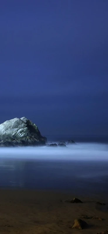 PeelitStickit, Beautiful Nature Wall Murals, ID-1955, vinyl