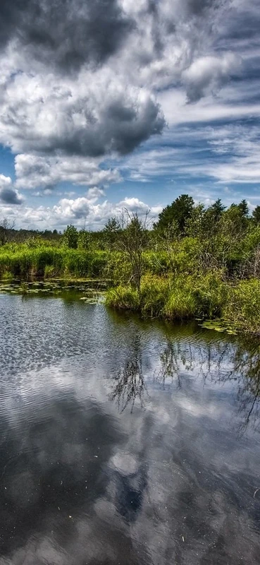 PeelitStickit, Beautiful Nature Wall Murals, ID-1972, vinyl