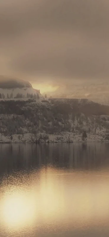 PeelitStickit, Beautiful Nature Wall Murals, ID-2424, vinyl