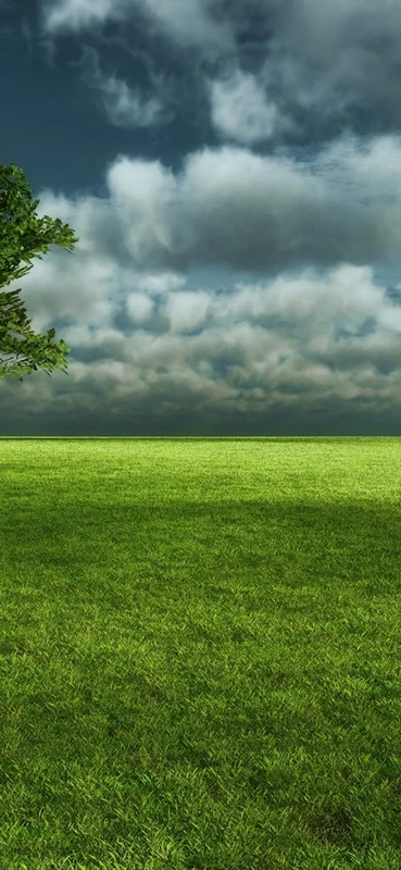 PeelitStickit, Beautiful Nature Wall Murals, ID-1974, vinyl