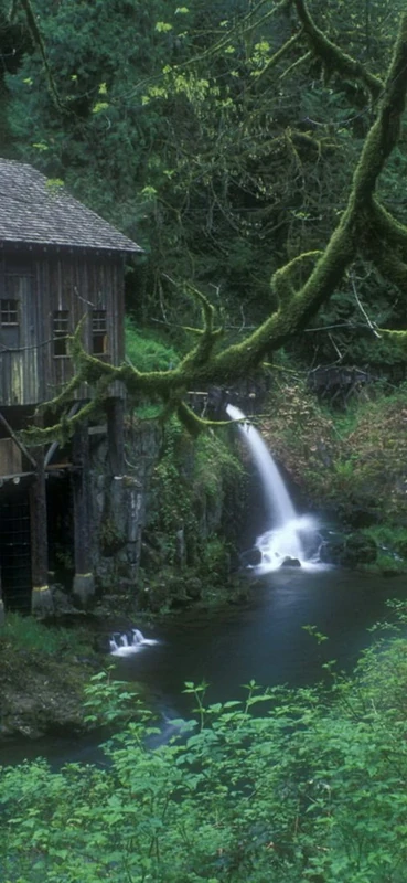 PeelitStickit, Beautiful Nature Wall Murals, ID-2454, vinyl