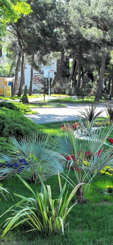 PeelitStickit, Beautiful Nature Wall Murals, ID-2502, vinyl