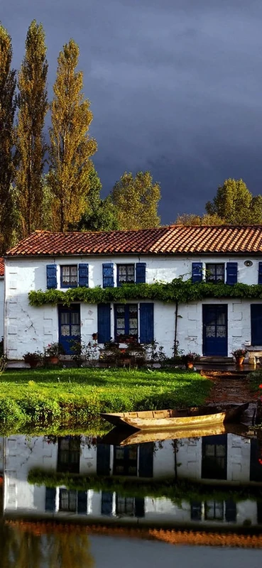 PeelitStickit, Beautiful Nature Wall Murals, ID-2575, vinyl