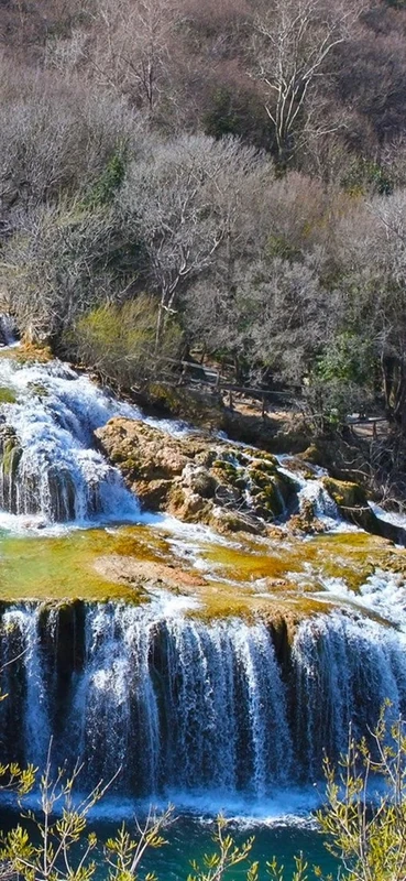 PeelitStickit, Beautiful Nature Wall Murals, ID-2796, vinyl