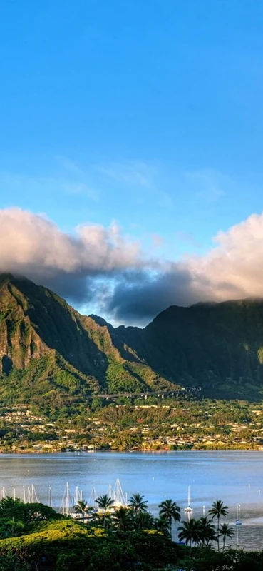 PeelitStickit, Beautiful Nature Wall Murals, ID-2826, vinyl