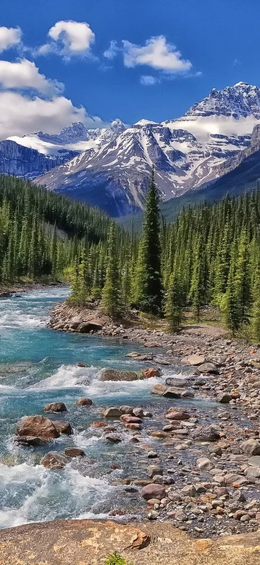 PeelitStickit, Beautiful Nature Wall Murals, ID-2825, vinyl