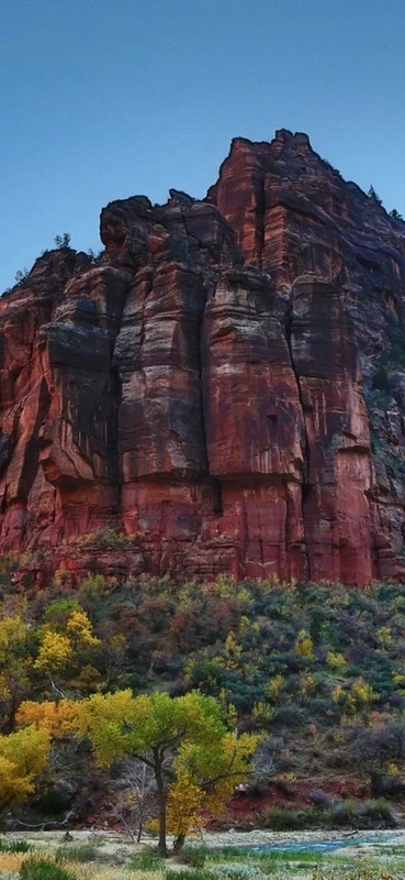 PeelitStickit, Beautiful Nature Wall Murals, ID-2834, vinyl