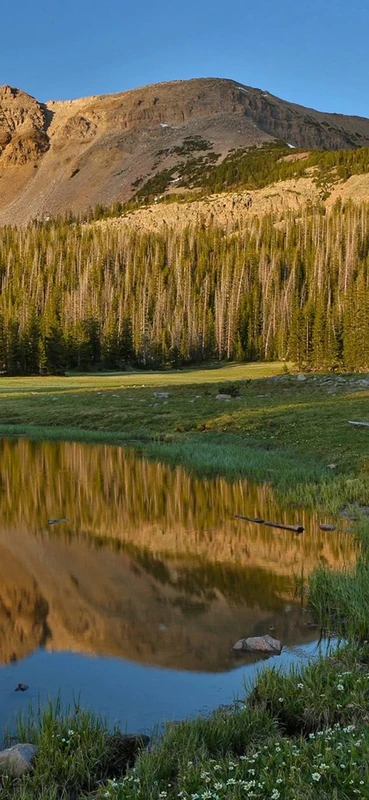 PeelitStickit, Beautiful Nature Wall Murals, ID-2835, vinyl