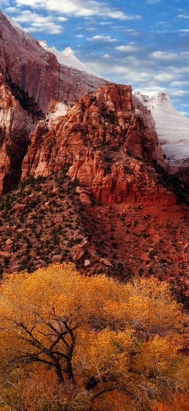 PeelitStickit, Beautiful Nature Wall Murals, ID-2828, vinyl