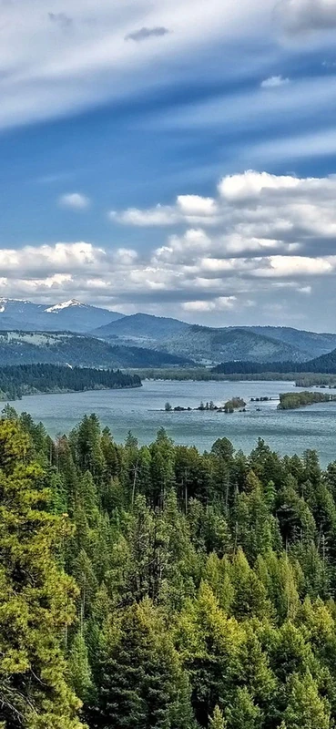 PeelitStickit, Beautiful Nature Wall Murals, ID-2839, vinyl