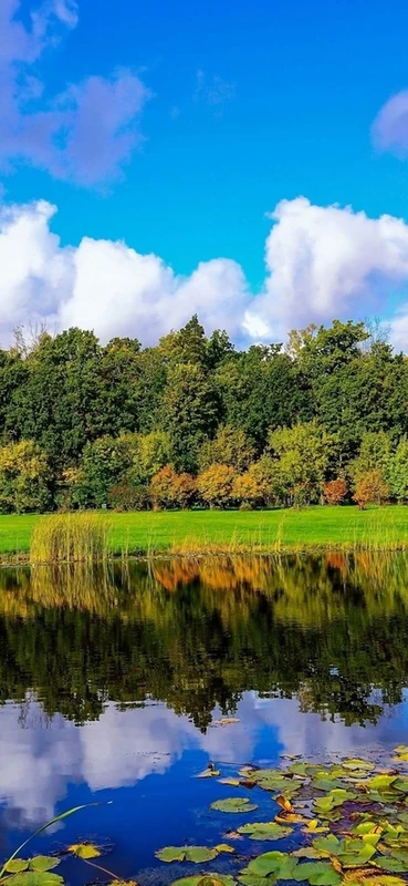 PeelitStickit, Beautiful Nature Wall Murals, ID-2842, vinyl