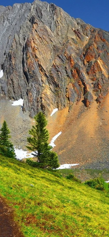 PeelitStickit, Beautiful Nature Wall Murals, ID-2841, vinyl