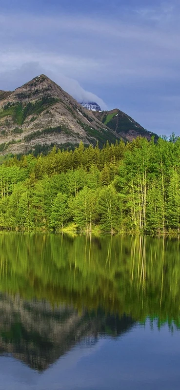 PeelitStickit, Beautiful Nature Wall Murals, ID-2853, vinyl